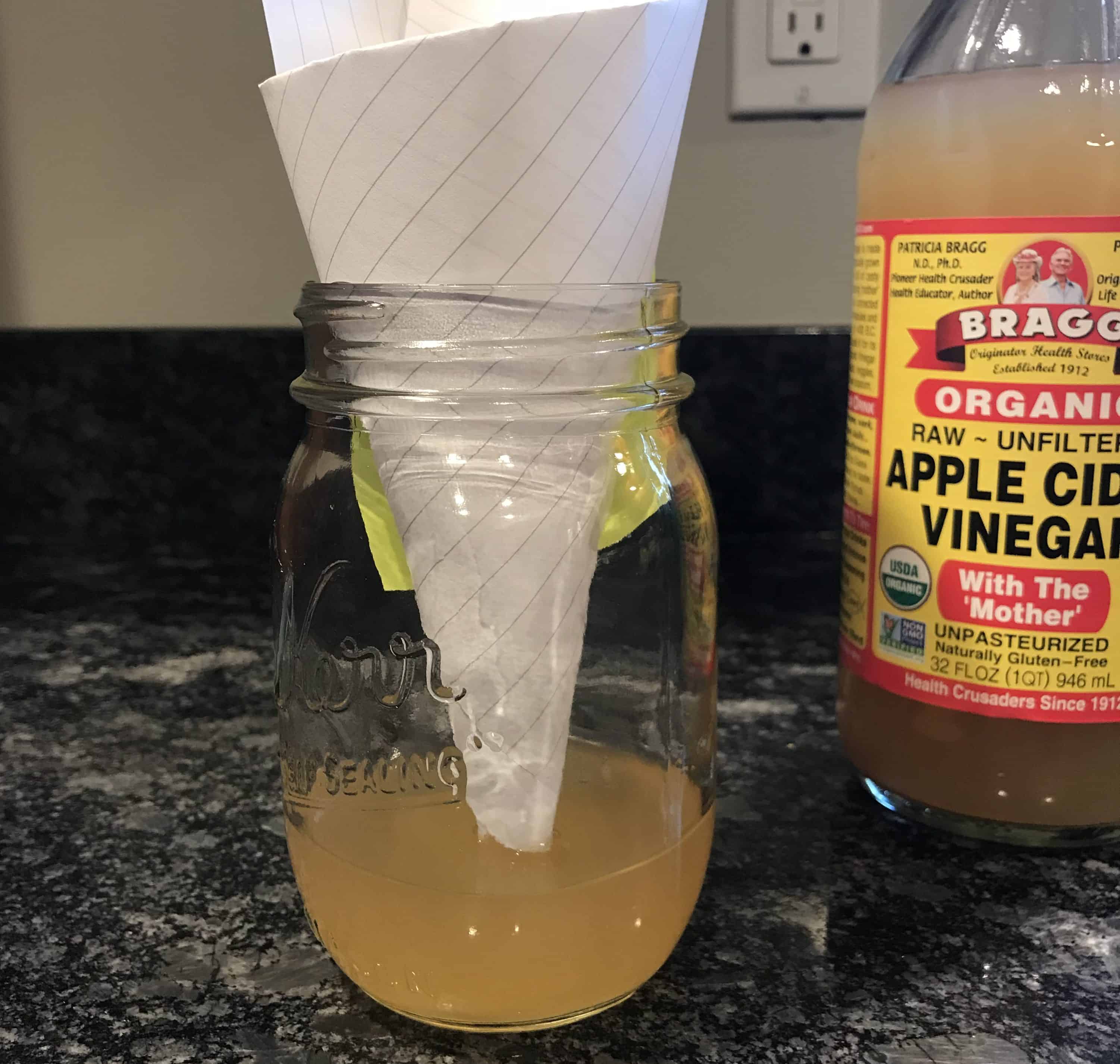 3 Easy Steps to Get Rid of Fruit Flies With Apple Cider Vinegar