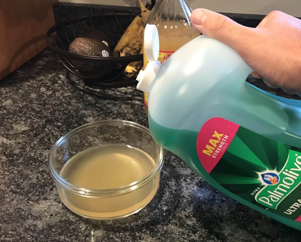 3 Easy Steps to Get Rid of Fruit Flies With Apple Cider Vinegar