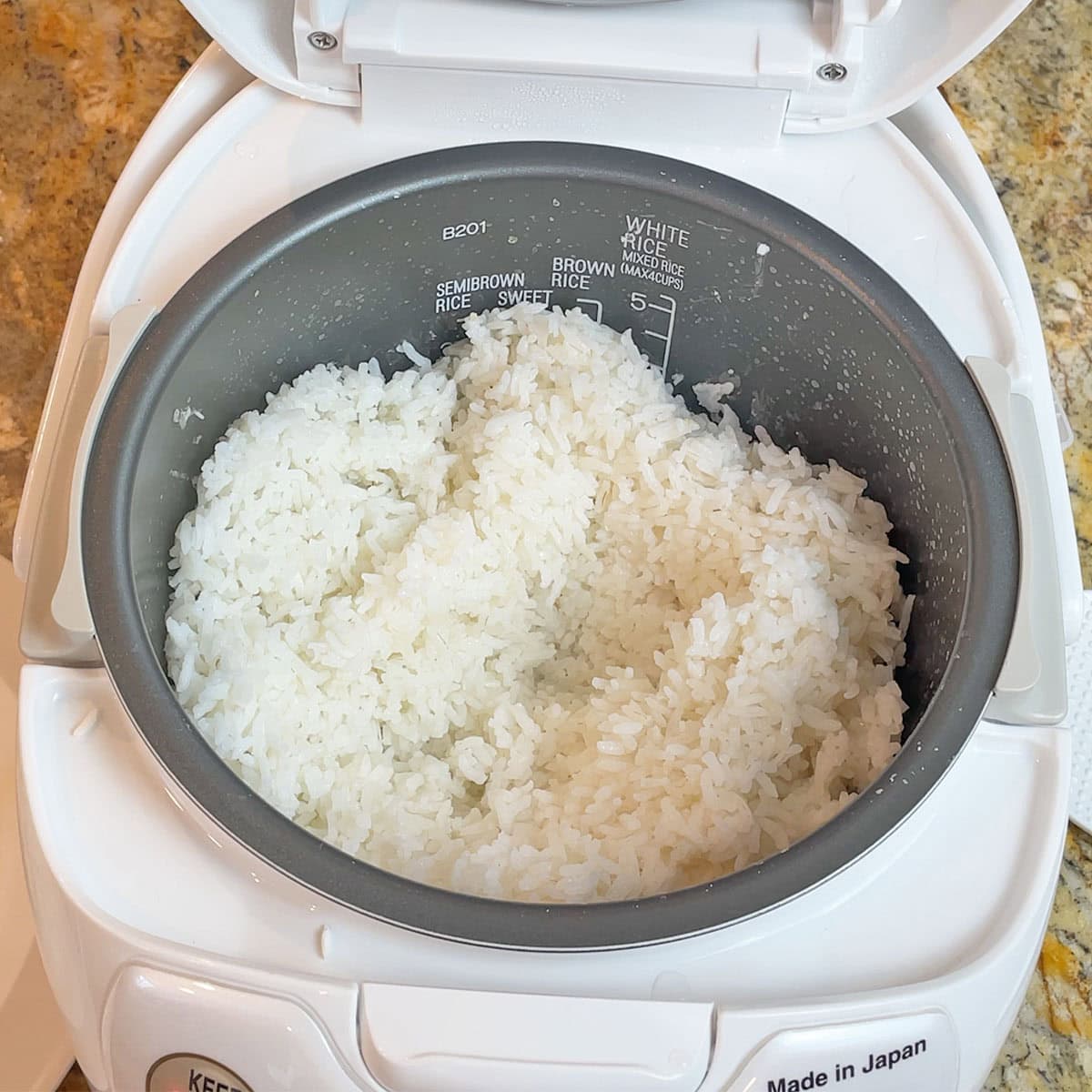 3 Cups of White Rice Cooked in the Zojirushi Neuro Fuzzy Rice Cooker