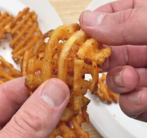 Air Fryer vs. Convection Toaster Oven (Test Results Revealed)