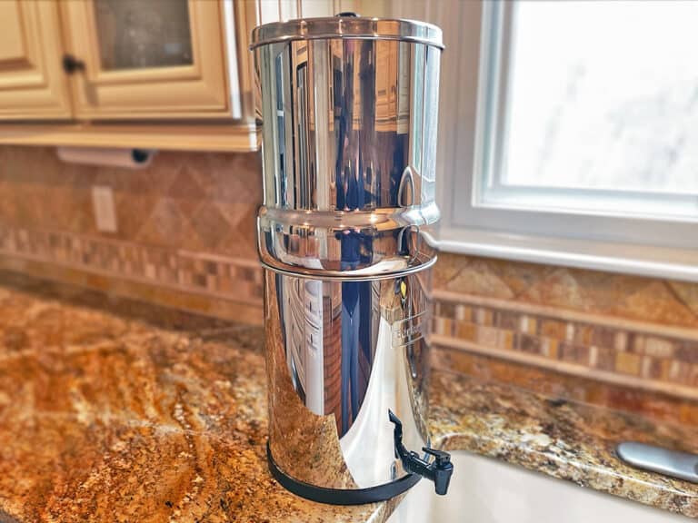 Berkey vs. Alexapure Water Filters (10 Key Differences)