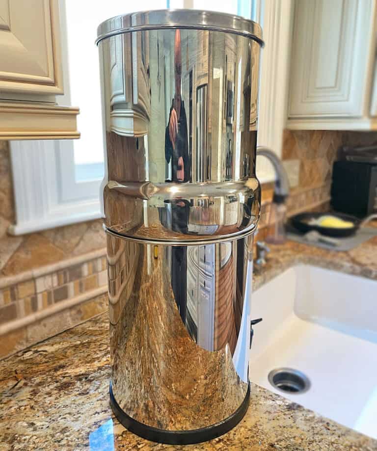 Berkey vs. Alexapure Water Filters (10 Key Differences)