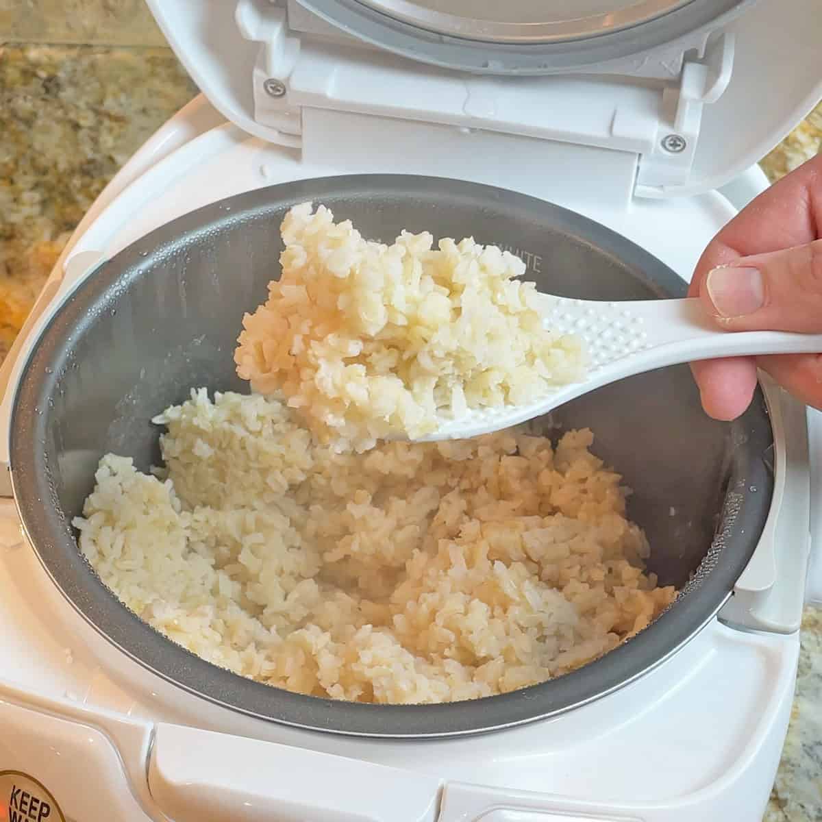 Brown Rice Cooked in the Zojirushi Neuro Fuzzy Rice Cooker