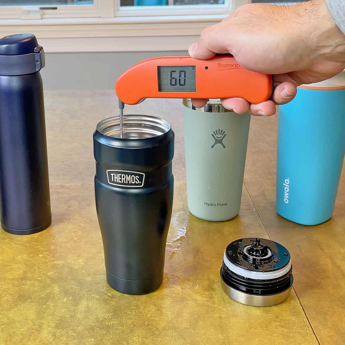 Cold water test results after 24 hours