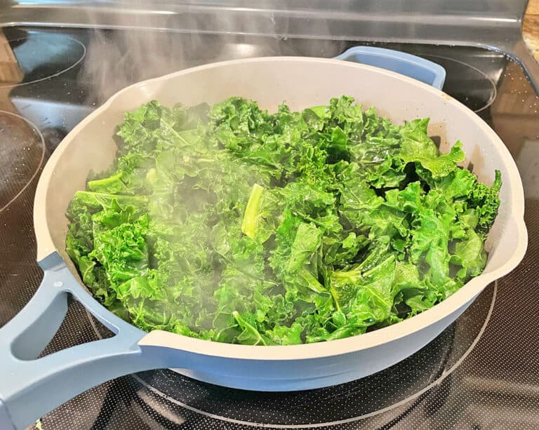 Caraway vs. Our Place Always Pan (9 Key Differences)