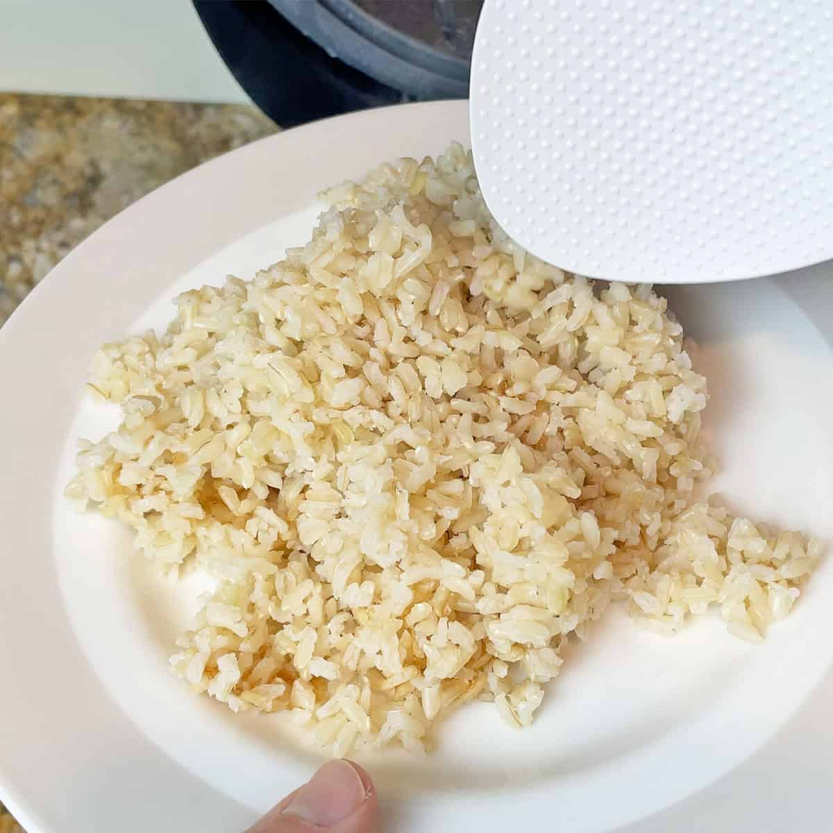 Cosori rice cooker brown rice test