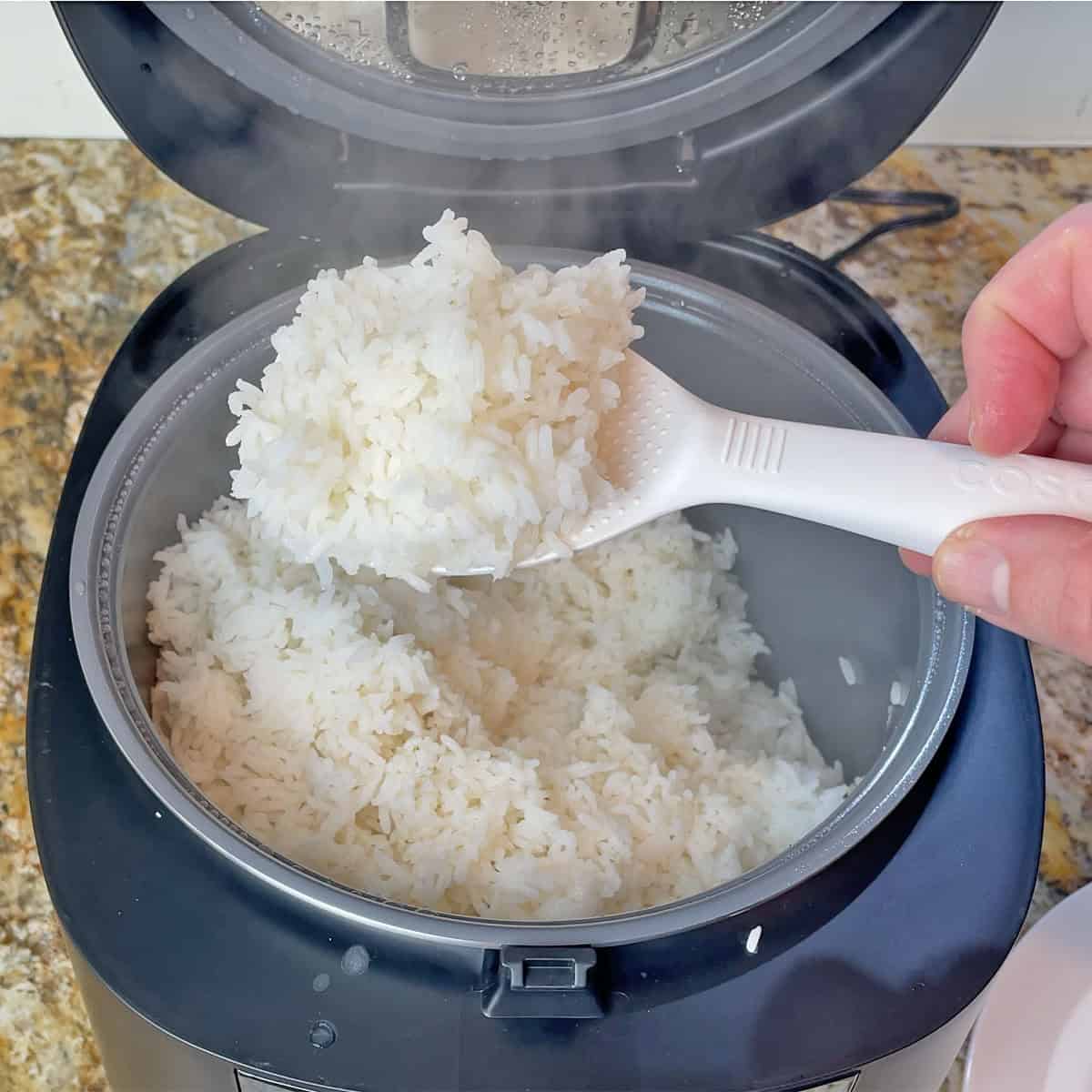 Cosori rice cooker white rice test
