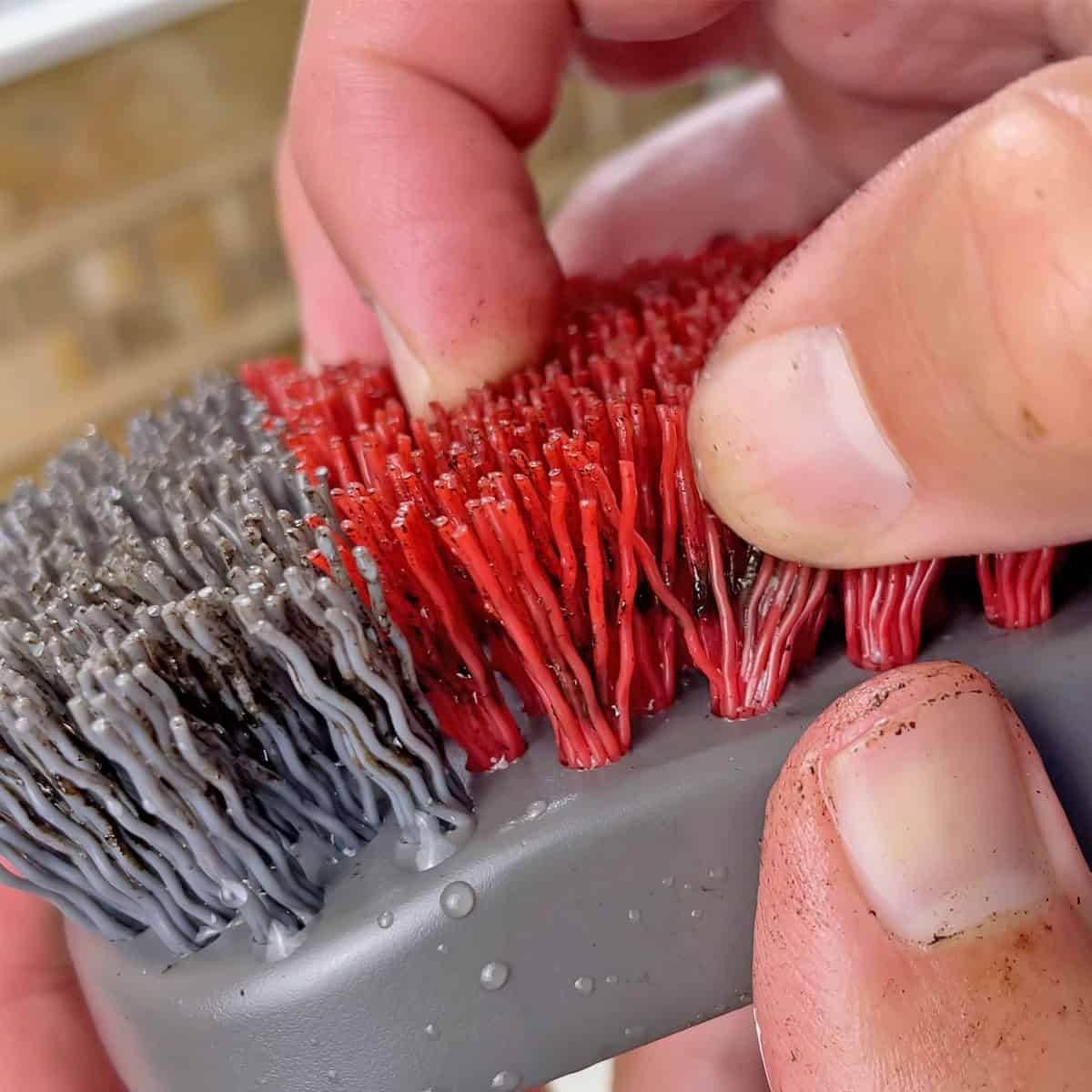 Dirt stuck in the bristles of OXO grill brush after cleaning