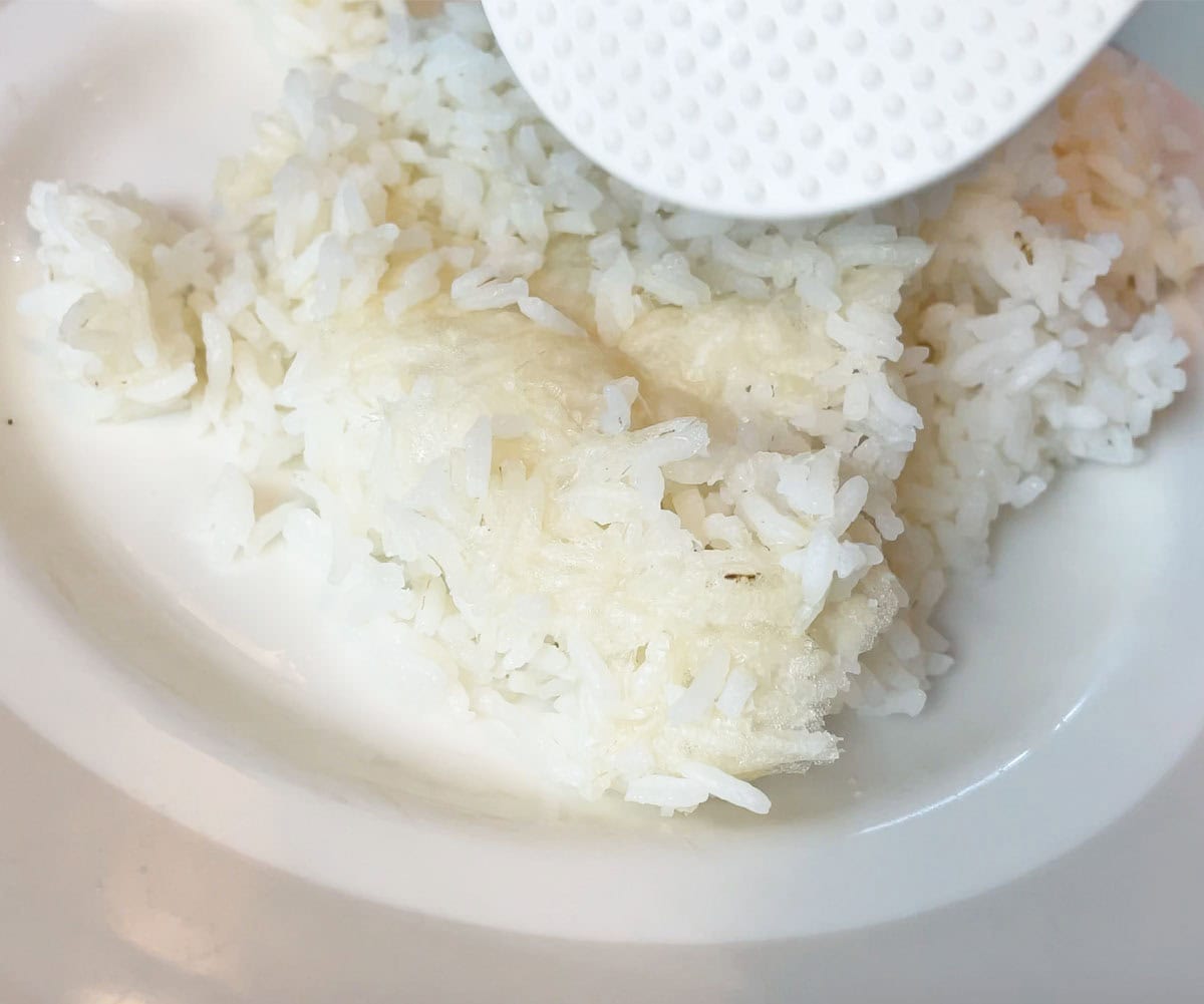 Film on the bottom of one cup of white rice cooked in Tiger rice cooker