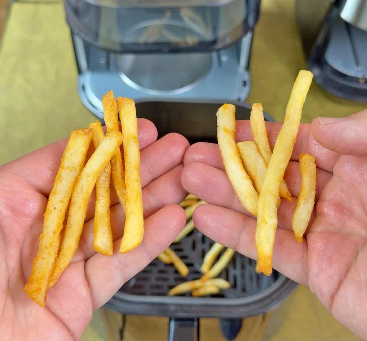French fries cooked in T-fal Dual Window Infrared Air Fryer vs fries cooked in Instant Vortex Plus