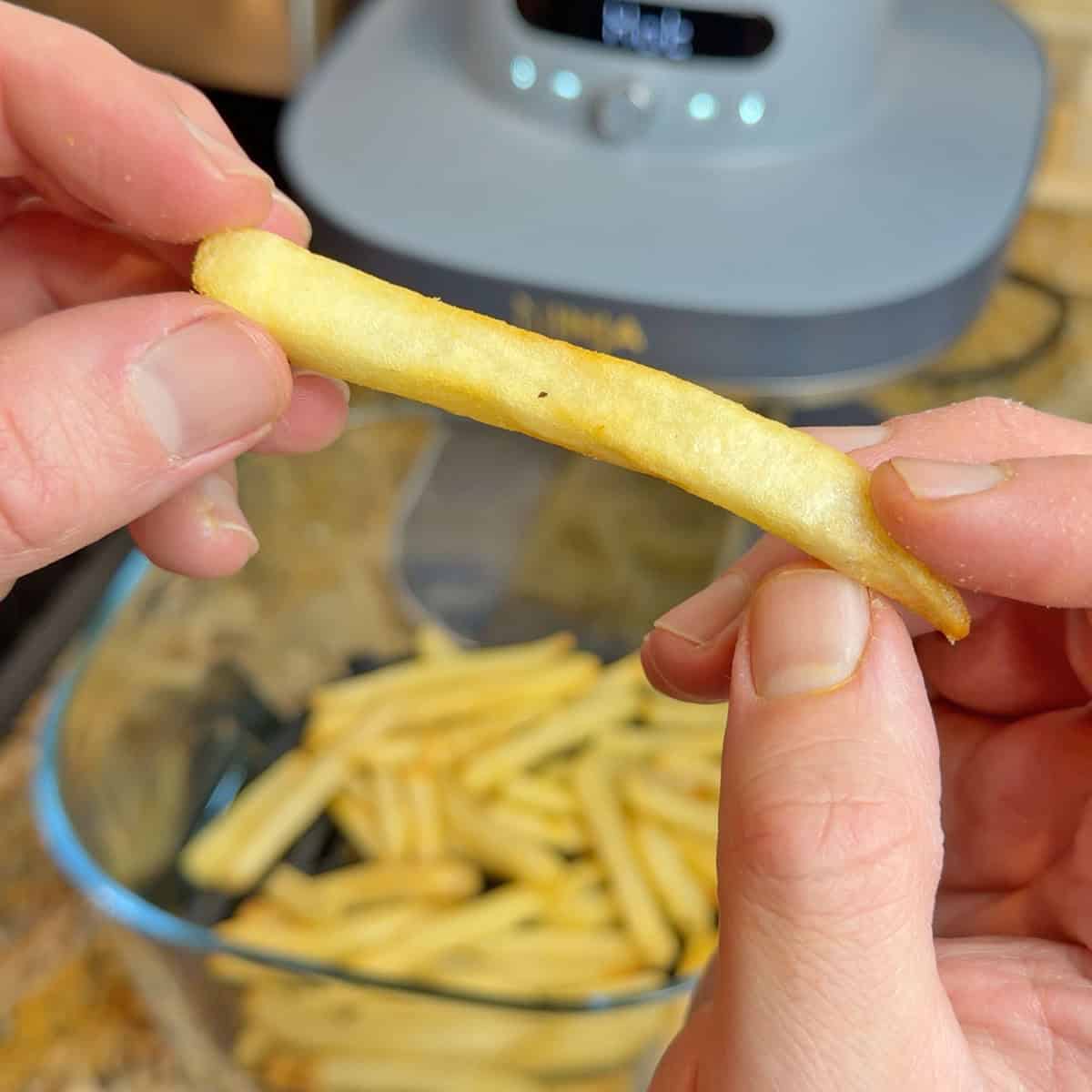 Fries cooked in Ninja Crispi Pro