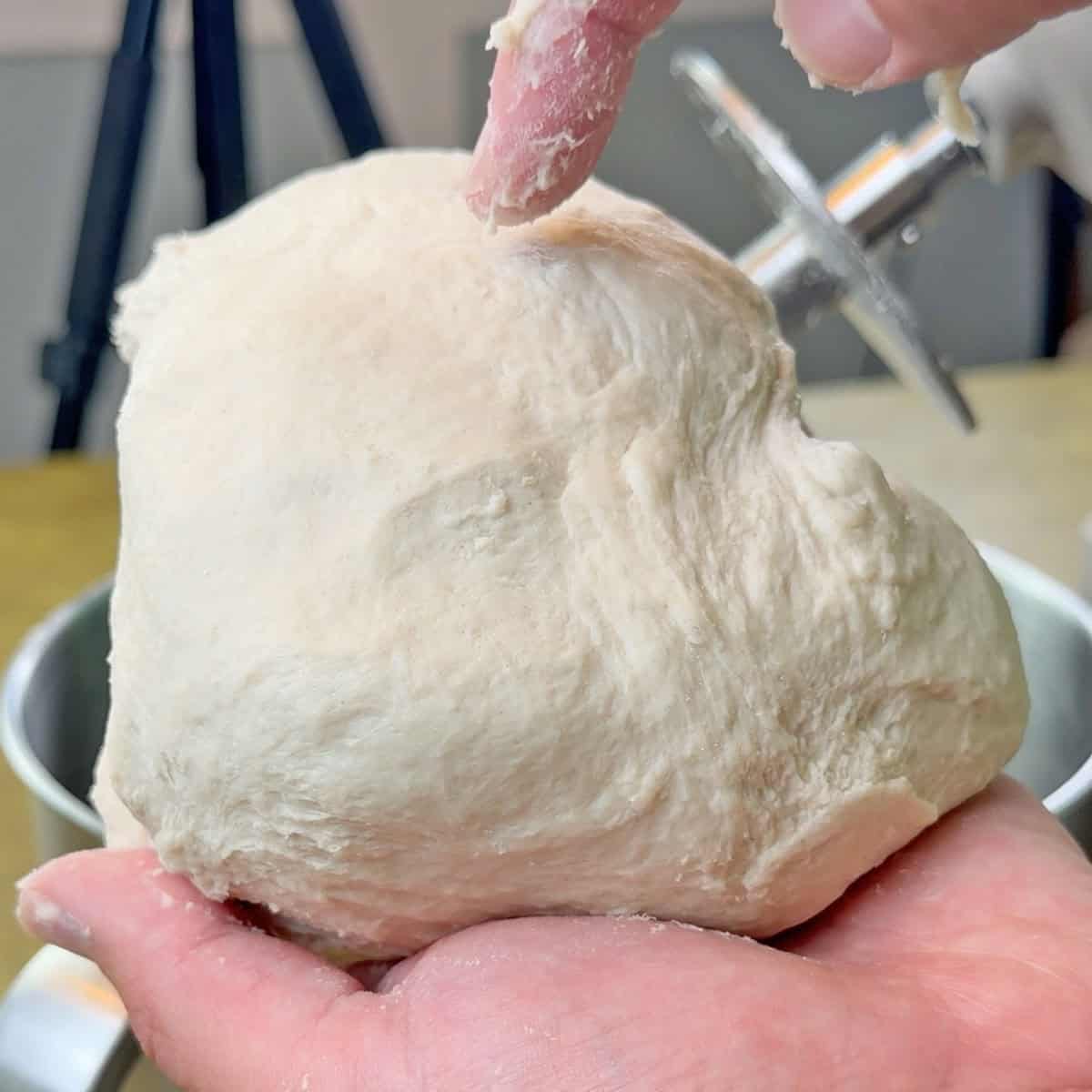 KitchenAid Artisan Plus pizza dough test results