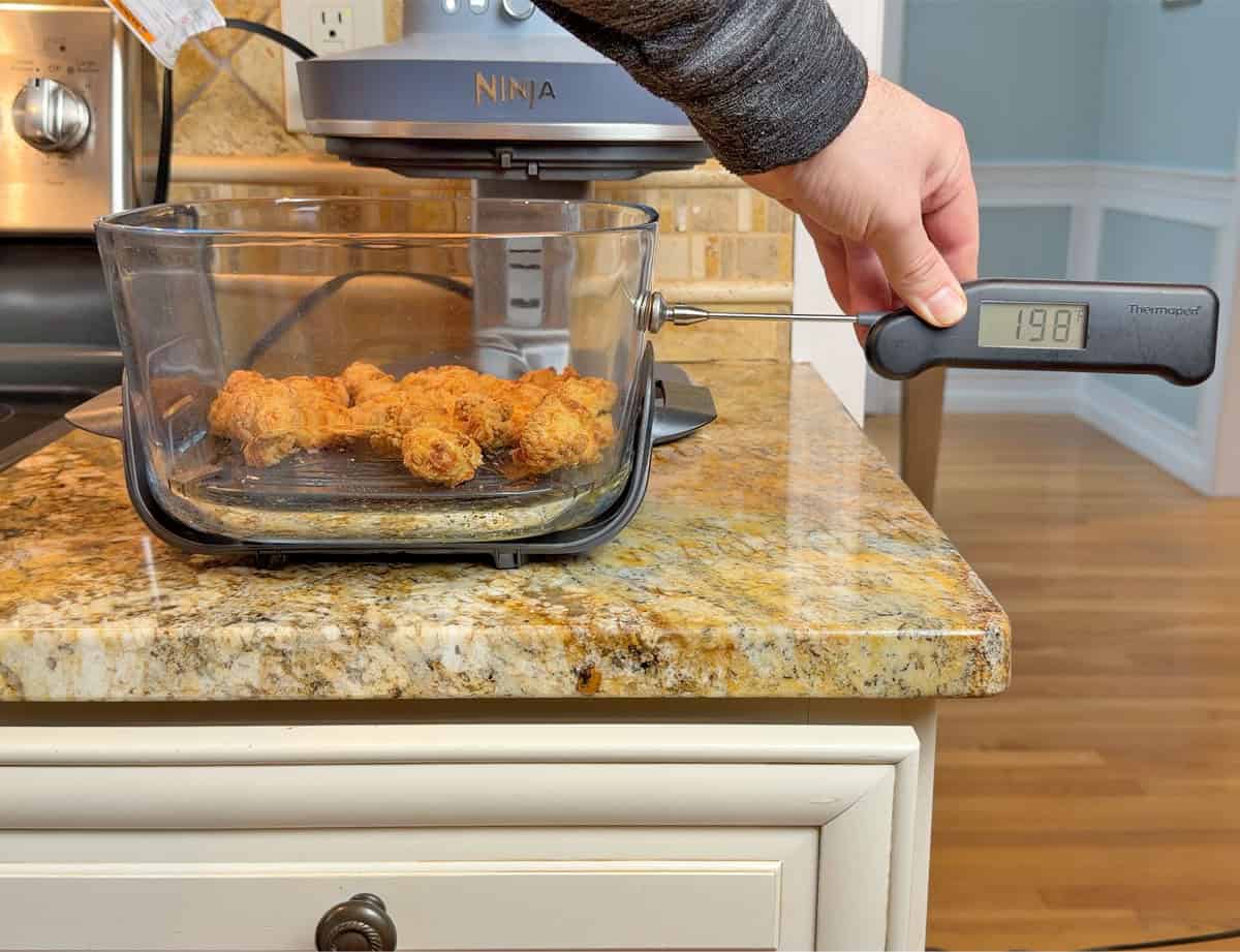 Measuring the temperature of the Ninja Crispi Pro glass container