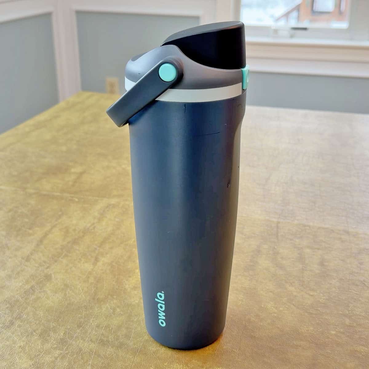 Owala FreeSip Sway Water Bottle