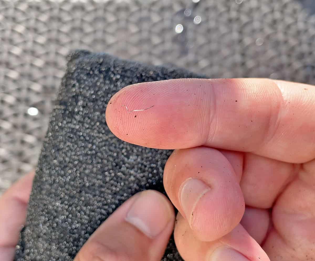 Piece of metal pulled from BBQ Daddy sponge