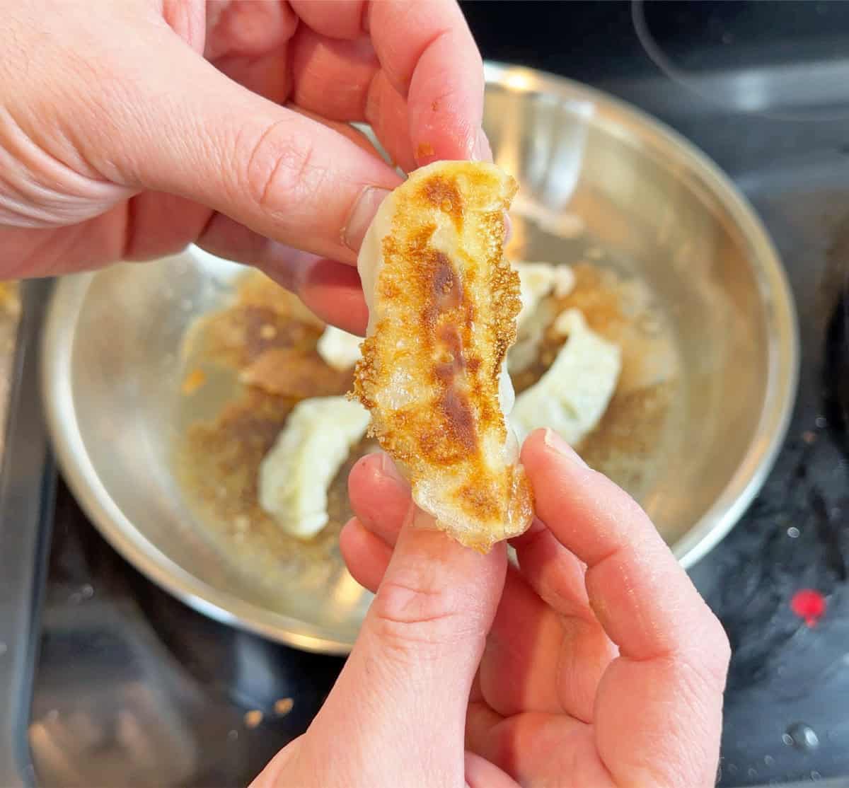 Pot sticker cooked in IKEA Sensuell pan
