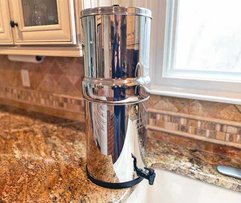 Berkey vs. Brita Water Filters (10 Key Differences)