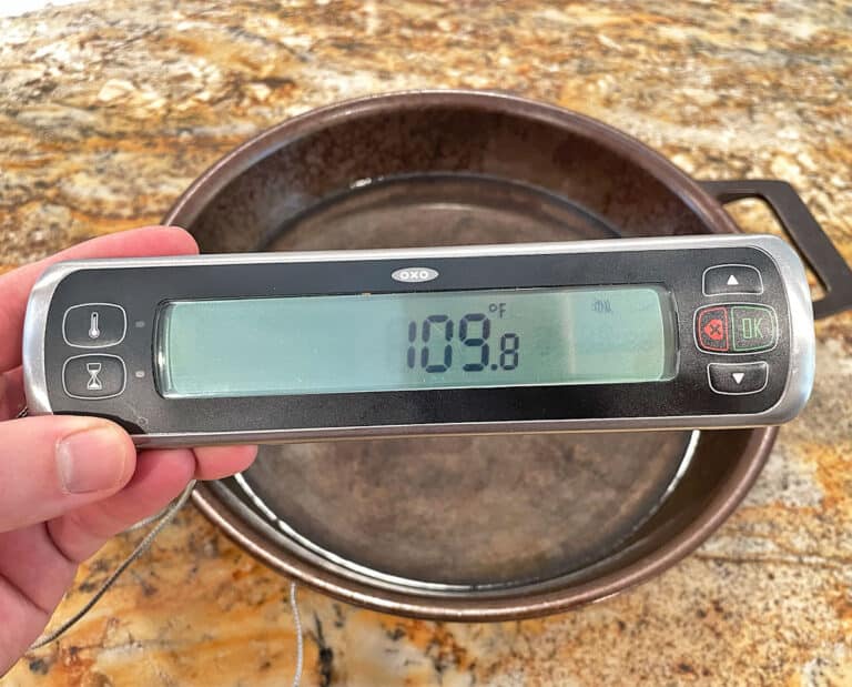 Stargazer Cast Iron Skillet Review (Is It Worth the High Price?)