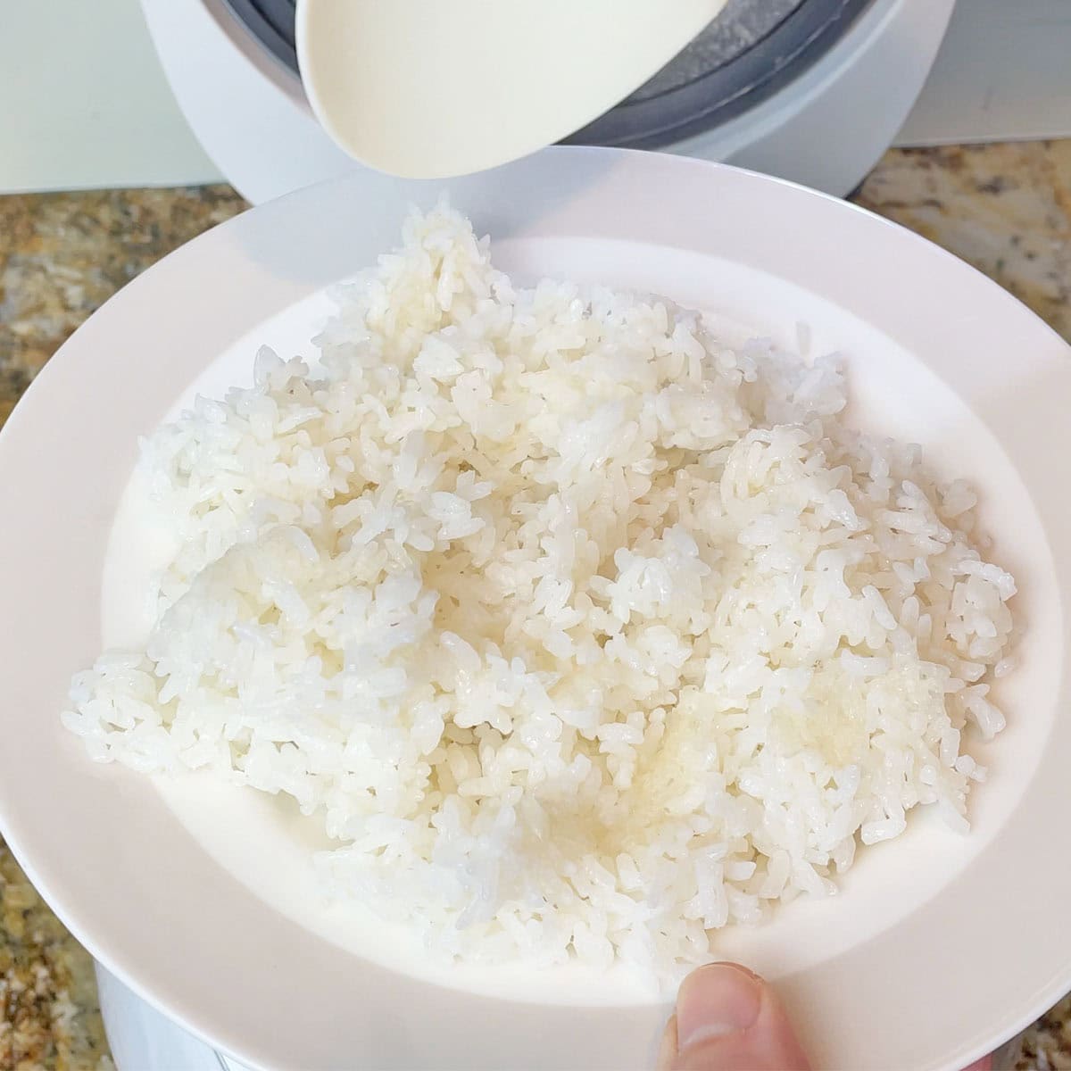 Sushi rice cooked in Tiger rice cooker