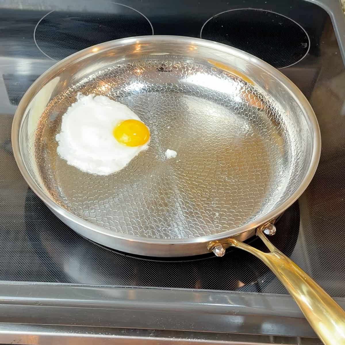 Taima Titanium Egg Test With Fat