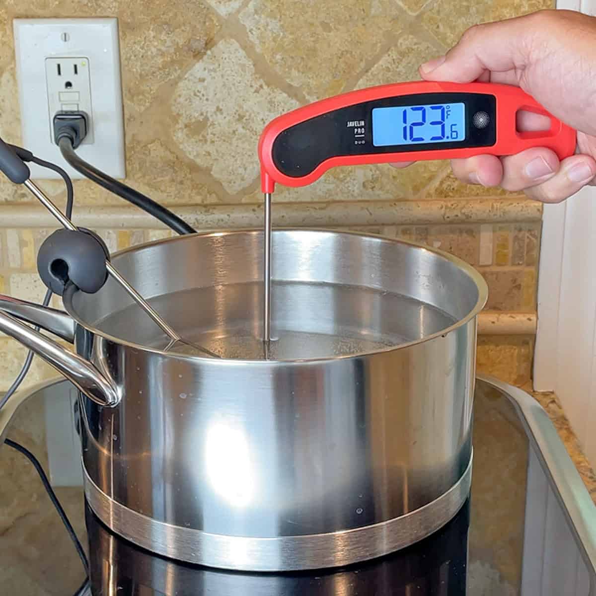 Testing the Lavatools Javelin PRO Duo in a sous vide