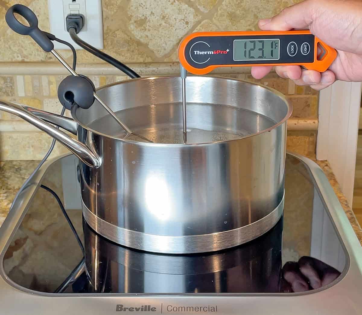 Testing the ThermoPro in a sous vide