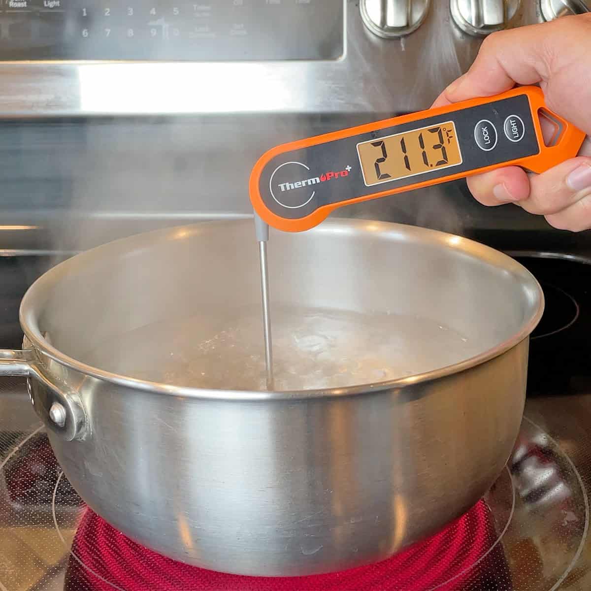Testing the ThermoPro instant read thermometer in boiling water