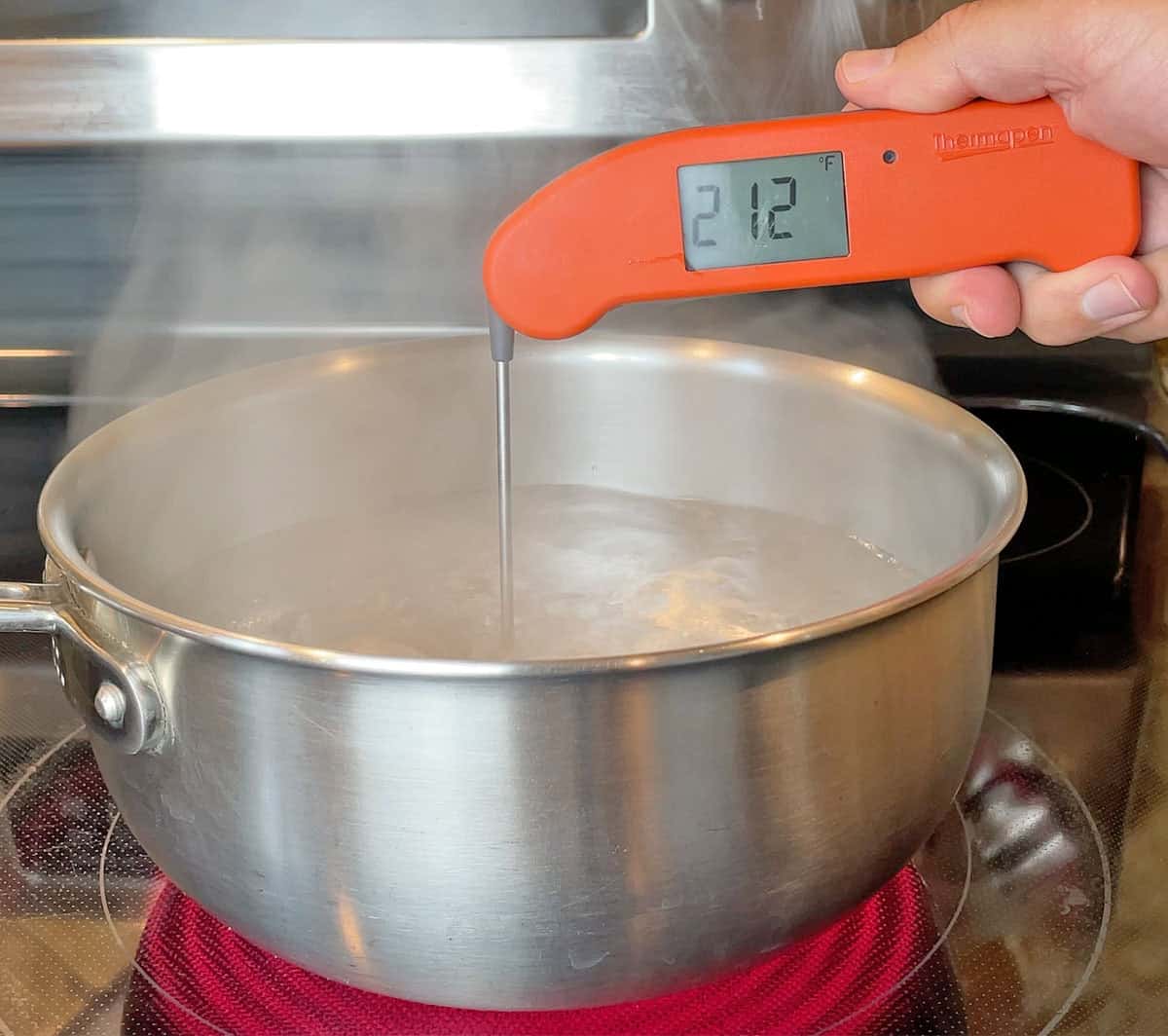 Testing the ThermoWorks Thermapen ONE instant read thermometer in boiling water
