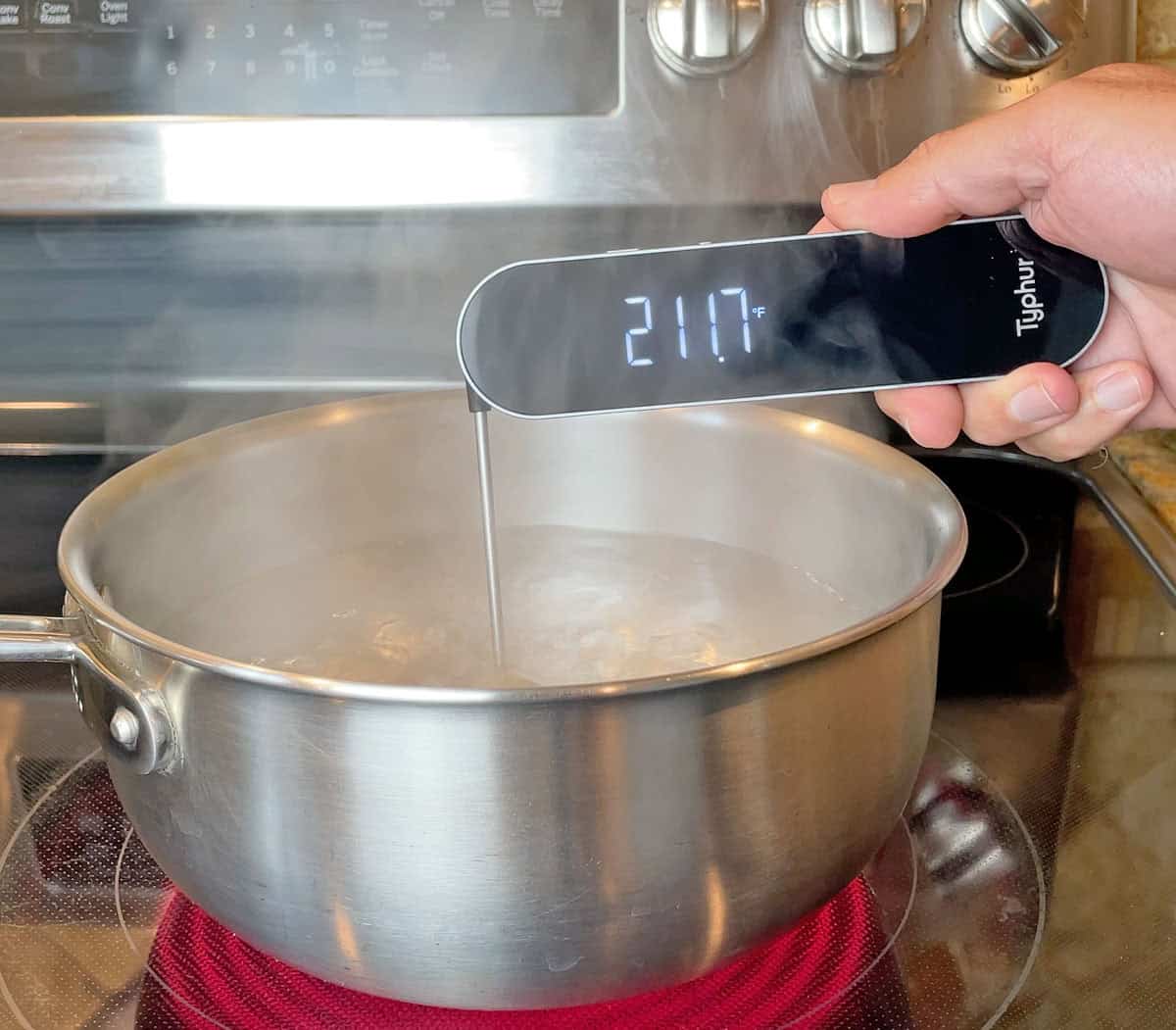 Testing the Typhur InstaProbe Core in boiling water