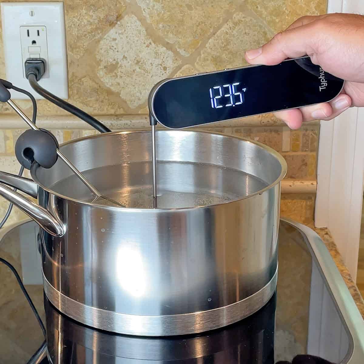 Testing the Typhur InstaProbe in a sous vide