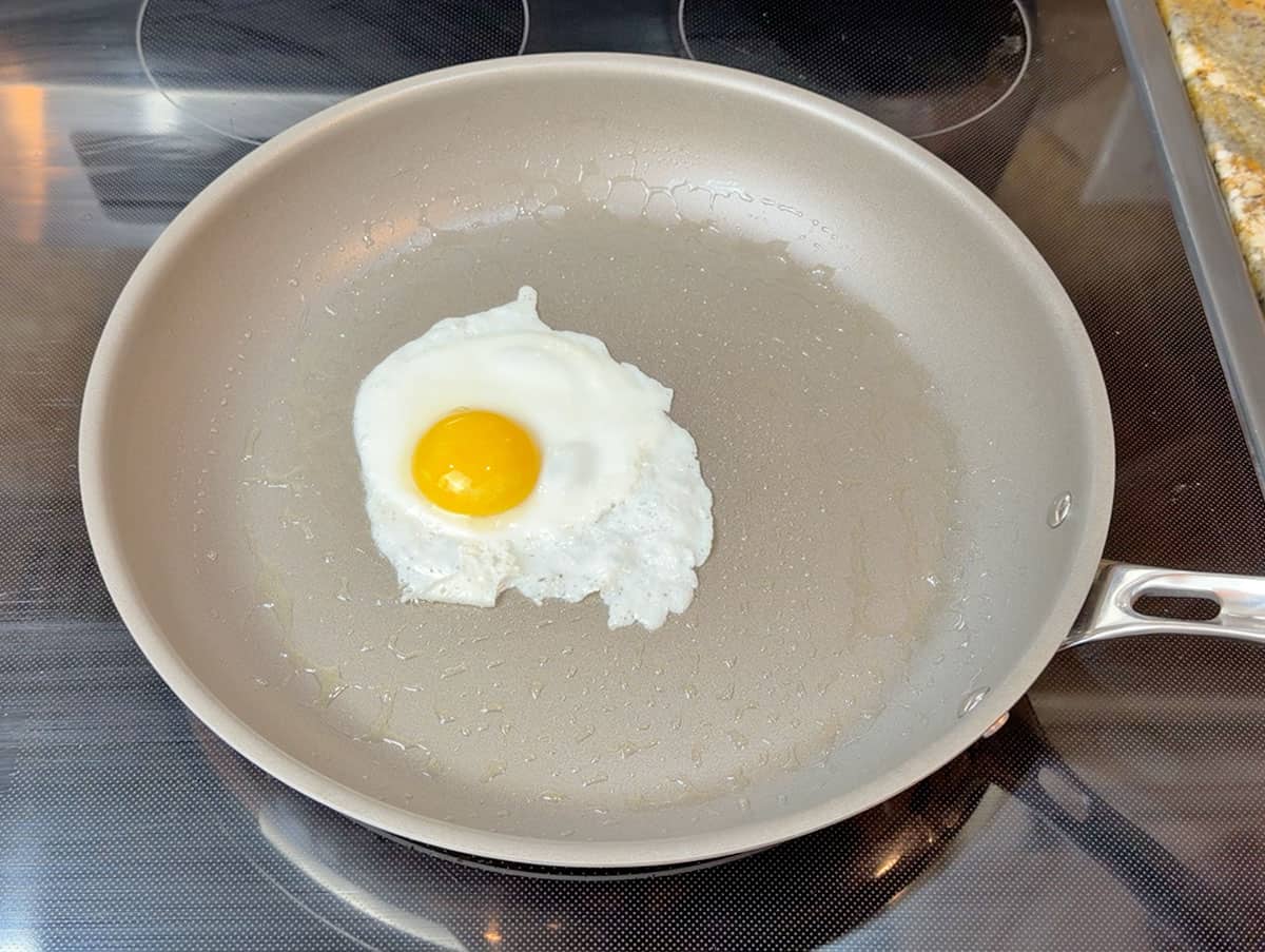 Viking PureGlide Pro egg test with fat